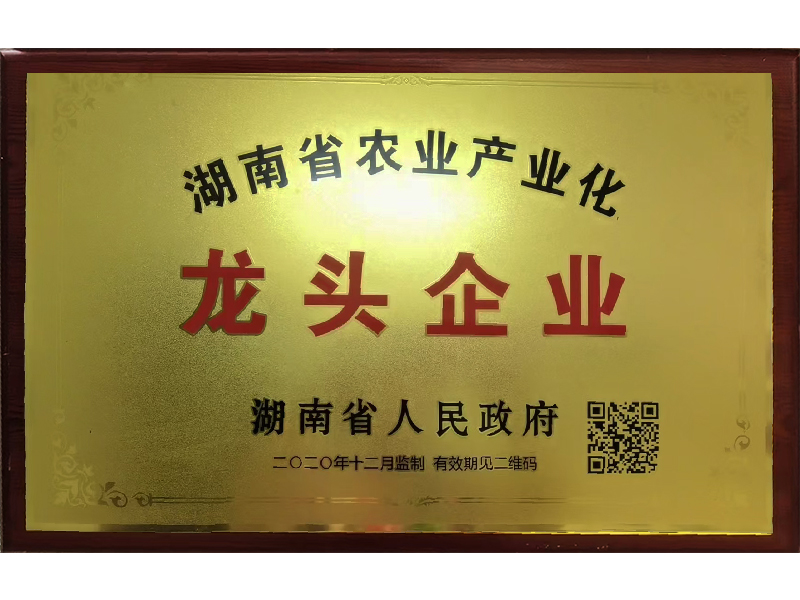 岳陽市漁之源食品有限公司,岳港漁都,洞庭魚港,散稱系列,田螺系列,臭豆腐加工，香豆腐加工，烤脖加工，魚仔,鴨排加工、雞丁加工代加工
